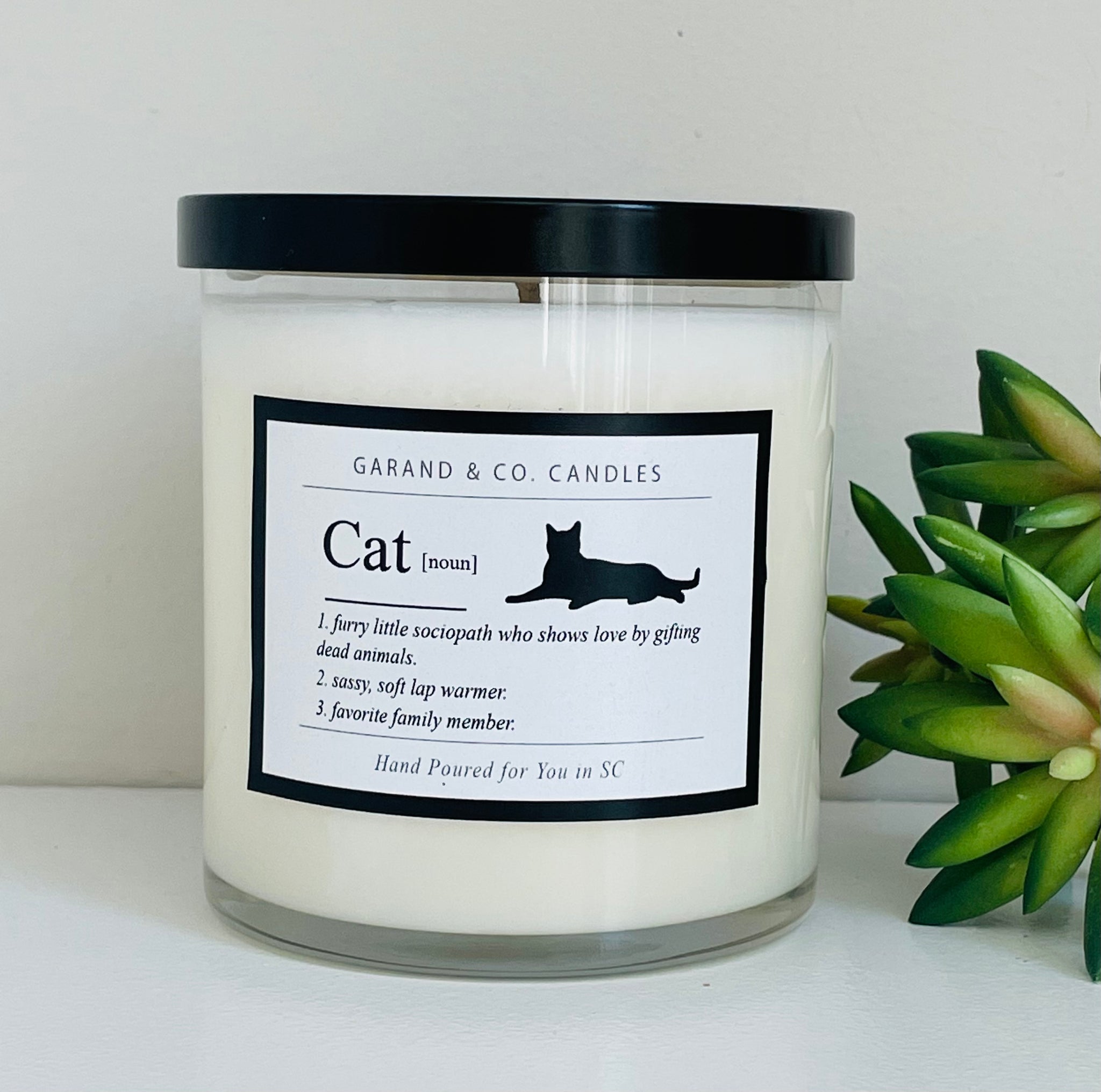 12 oz Clear Glass Jar Candle - Cat Noun