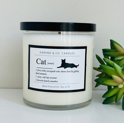 12 oz Clear Glass Jar Candle - Cat Noun